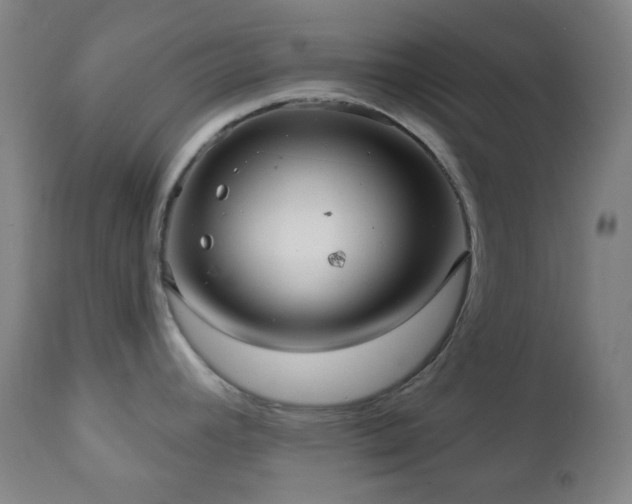 X0000110981392200906191354