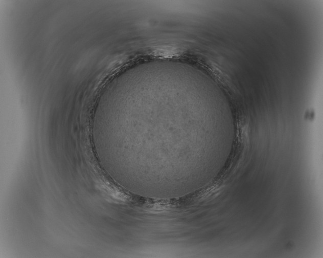 X0000110981393200906191353