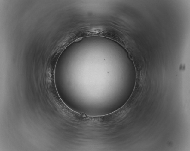 X0000110981394200906191353