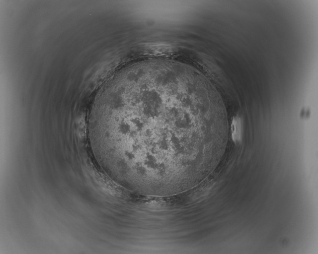 X0000110981395200906191353