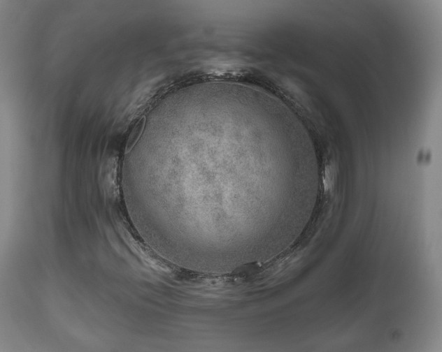 X0000110981396200906191353