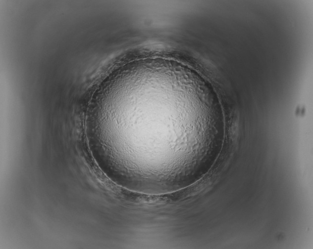 X0000110981397200906191353