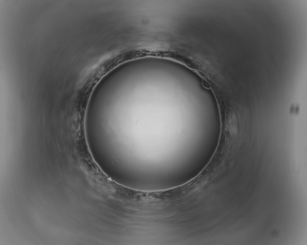 X0000110981398200906191353