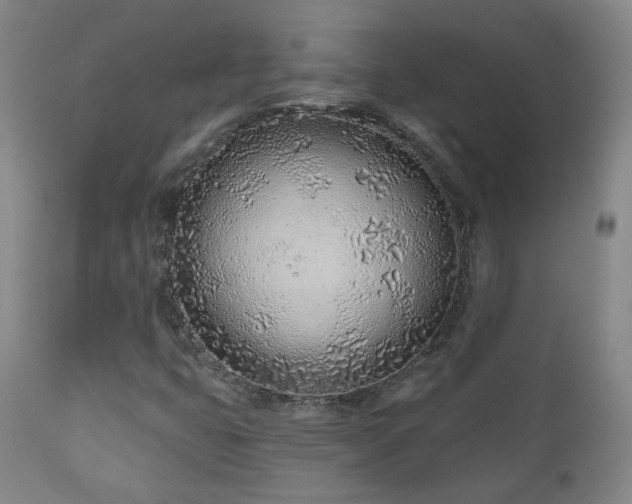 X0000110981399200906191353