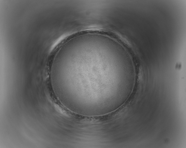 X0000110981400200906191353