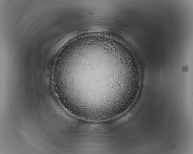 X0000110981401200906191353