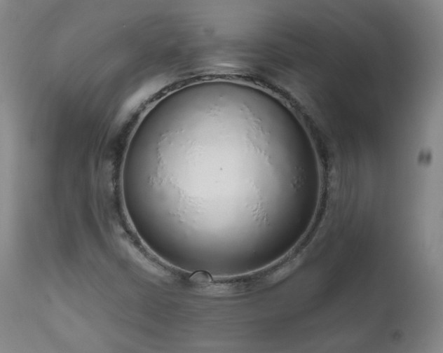 X0000110981402200906191353