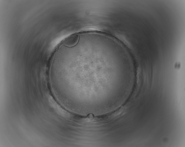 X0000110981404200906191353