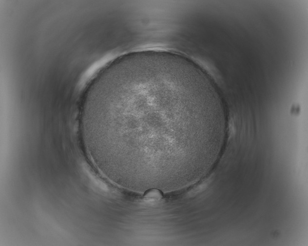 X0000110981406200906191354