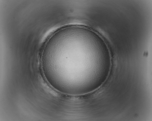 X0000110981408200906191354