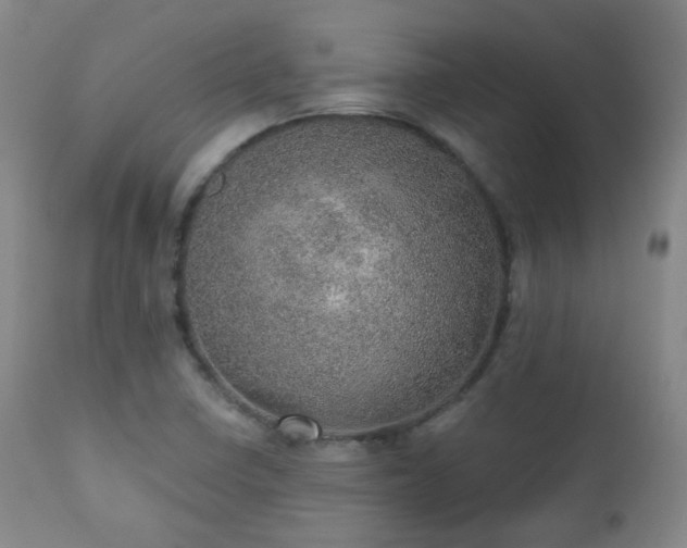 X0000110981410200906191354