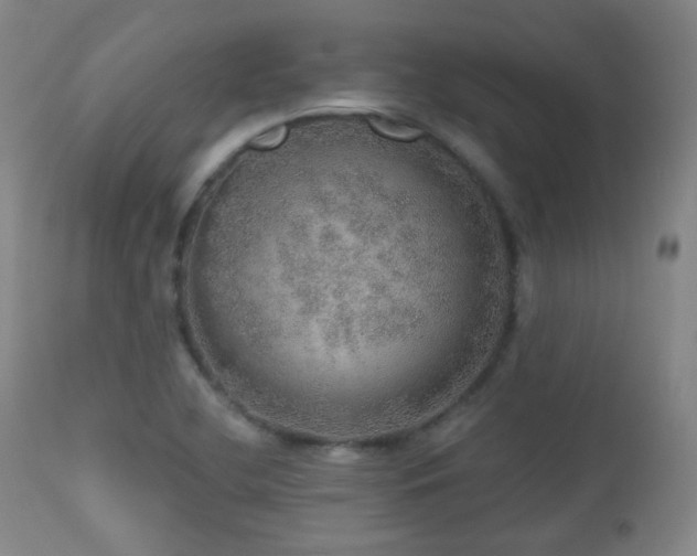 X0000110981412200906191354