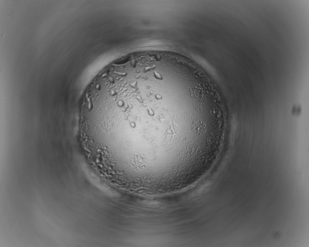 X0000110981413200906191354