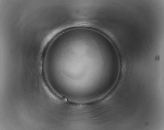 X0000110981414200906191354