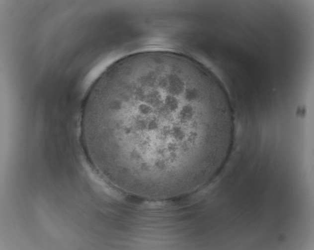 X0000110981415200906191354