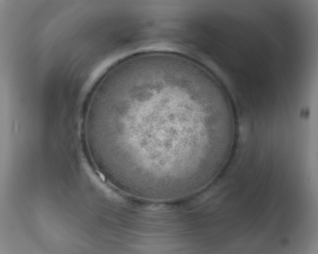 X0000110981416200906191354