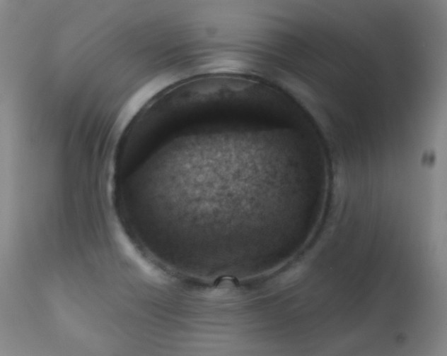 X0000110981418200906191354