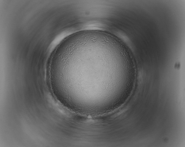 X0000110981419200906191354