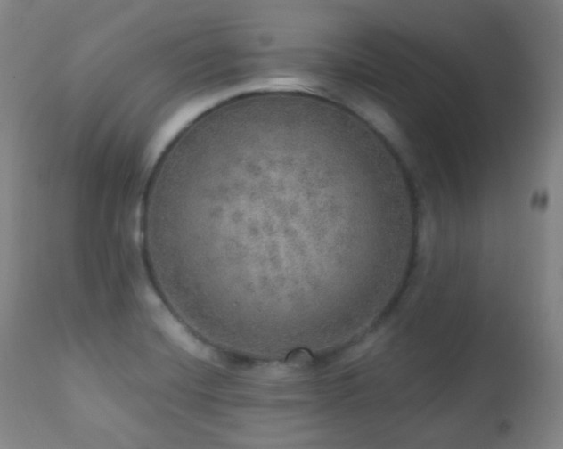 X0000110981420200906191354