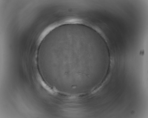 X0000110981421200906191354