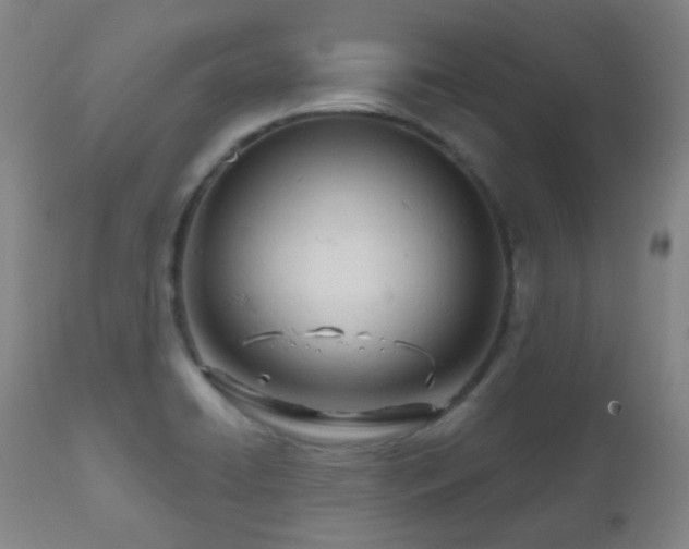 X0000110981422200906191354