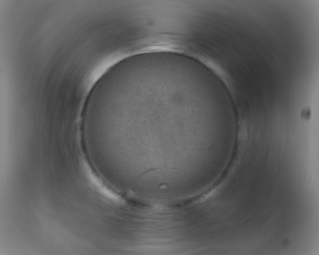 X0000110981423200906191354