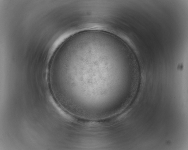 X0000110981424200906191354