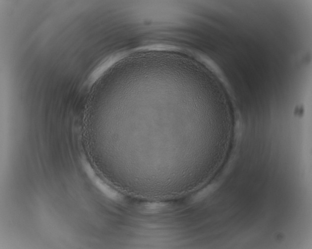 X0000110981425200906191354