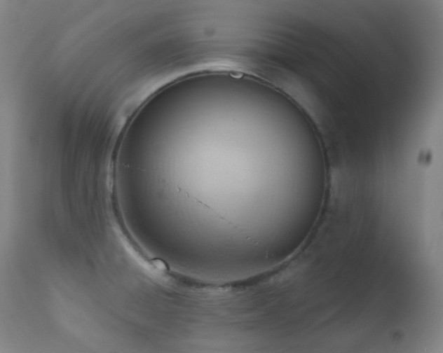 X0000110981428200906191354