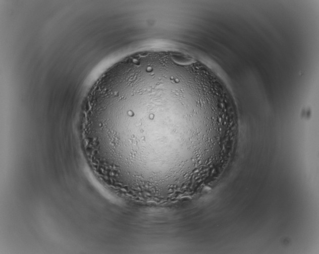 X0000110981429200906191354