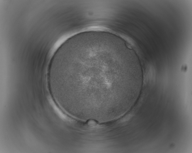 X0000110981430200906191354