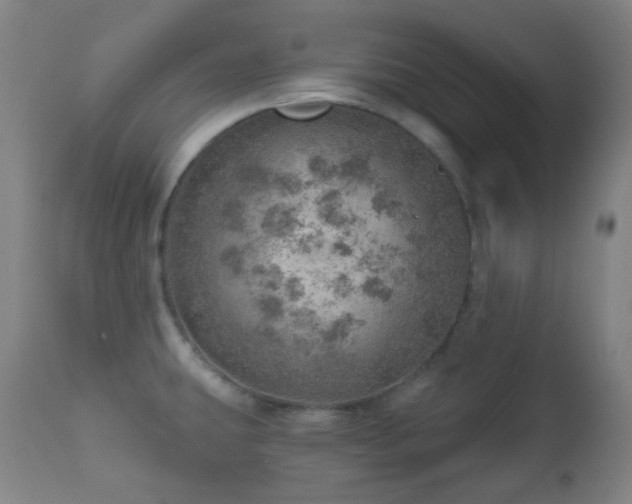 X0000110981431200906191354