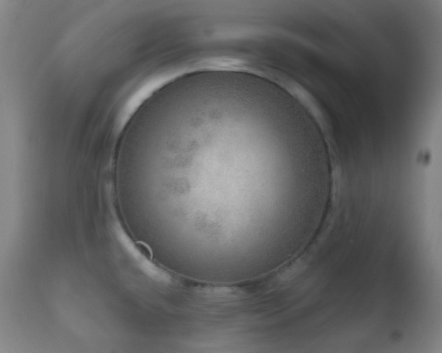 X0000110981432200906191354