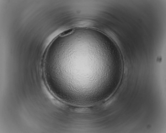 X0000110981434200906191354