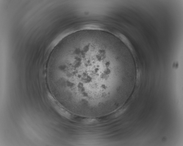 X0000110981435200906191354