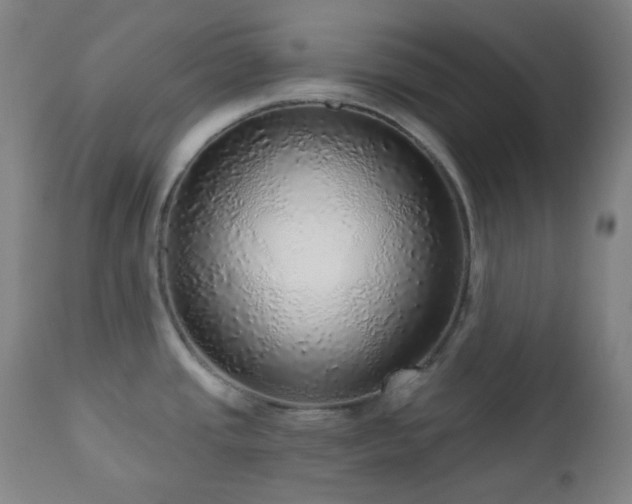 X0000110981437200906191354