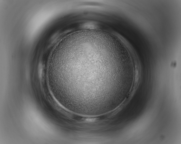 X0000110981438200906191354