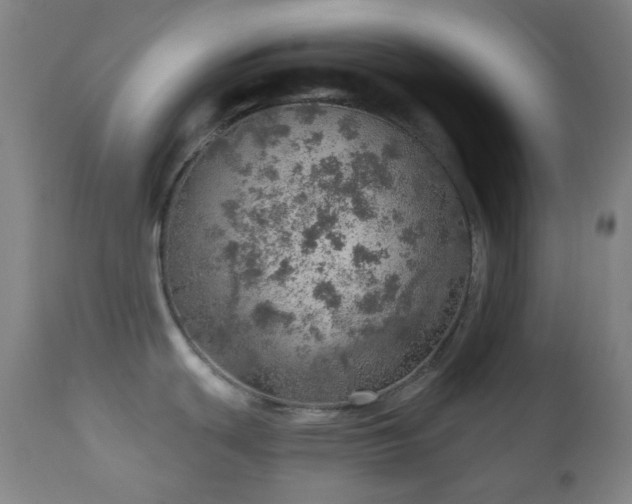 X0000110981439200906191354