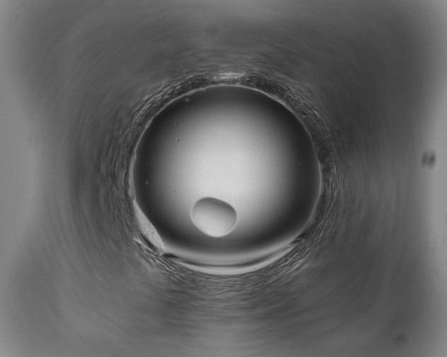 X0000110981441200906191353