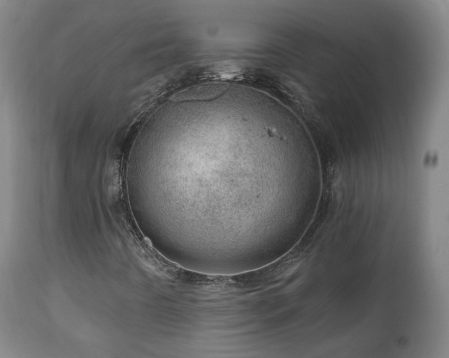 X0000110981442200906191353