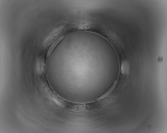 X0000110981444200906191353