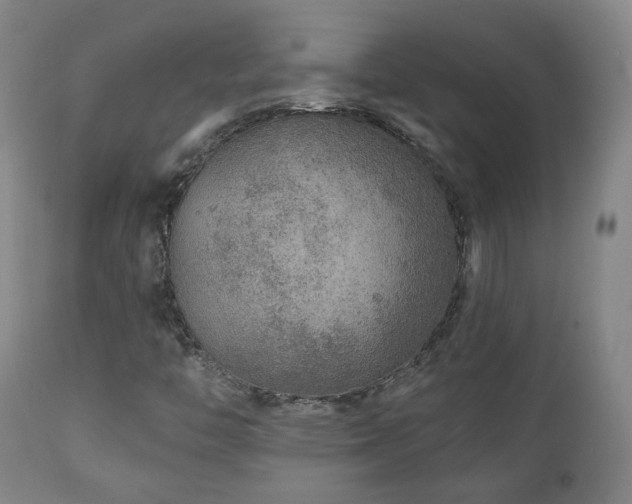 X0000110981446200906191353