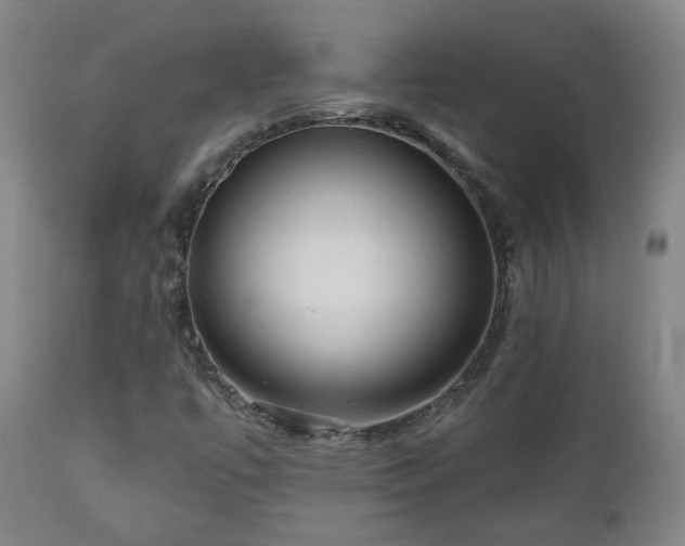 X0000110981447200906191353