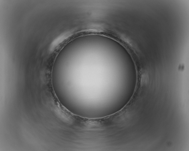 X0000110981448200906191353