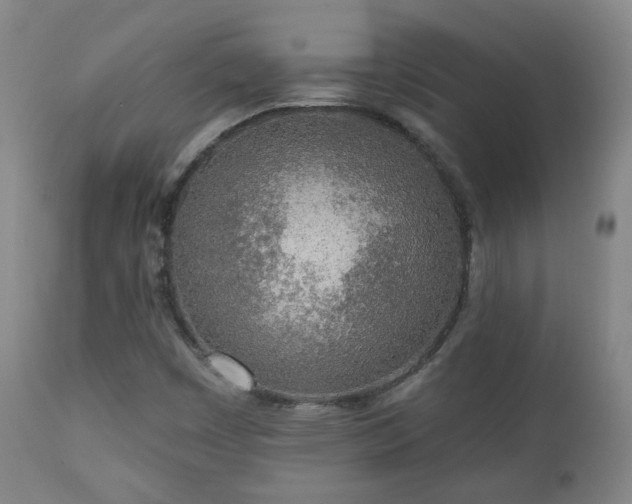 X0000110981449200906191353