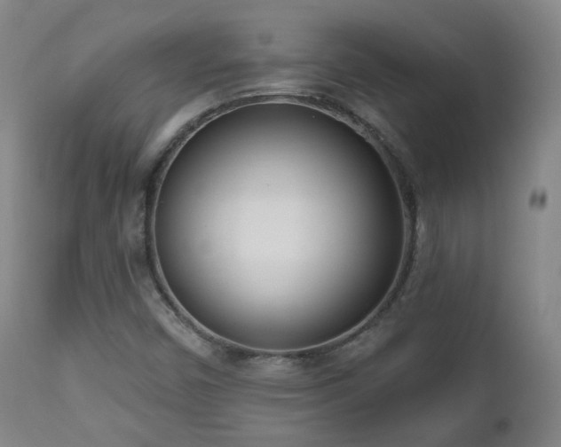 X0000110981450200906191353