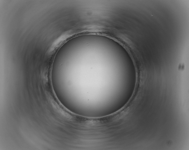 X0000110981451200906191353