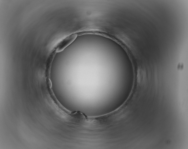 X0000110981452200906191353