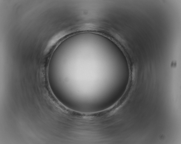 X0000110981453200906191353