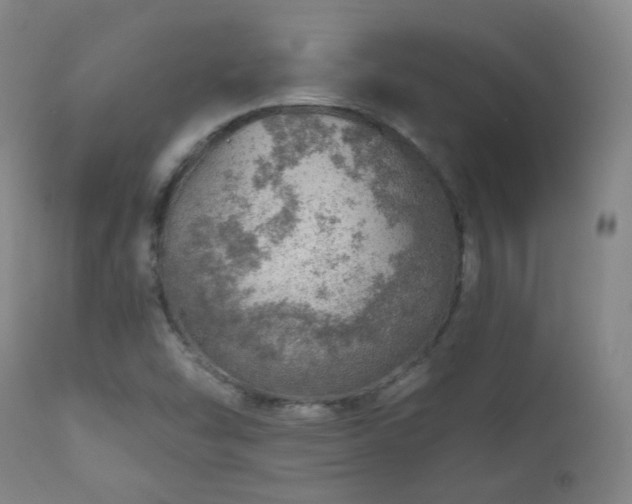 X0000110981454200906191353